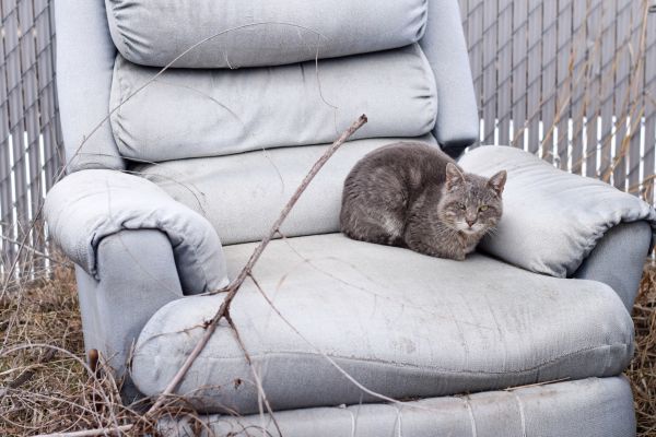 Recliner Disposal in Metairie